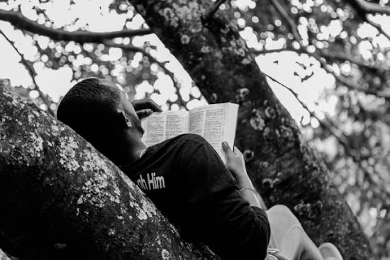 A Man Reading Bible Laying on Tree A man reading his Bible while laying in a tree shows how people search for how God protected His people in the Scriptures.