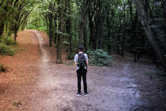 A Man at the Crossroads A man carrying a backback stranded at a crossroad in the woods wondering what path to take.