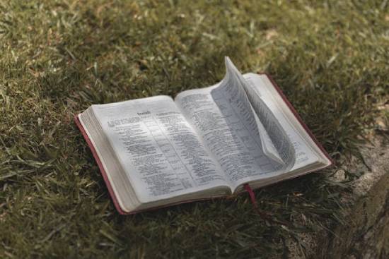 An Open Bible An open Bible on top of grass providing information about personal relationship with Jesus.