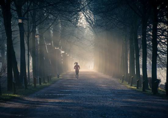 A person exercising in a street between tall trees in a cool neighbourhood.