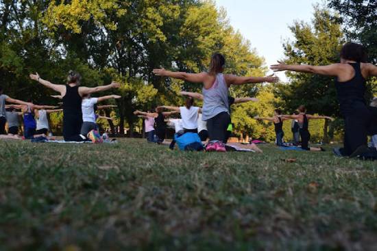 Adults Performing Yoga A group of adults performing yoga in a field sarrounded as a team to help encourage each other to prioritise fitness.