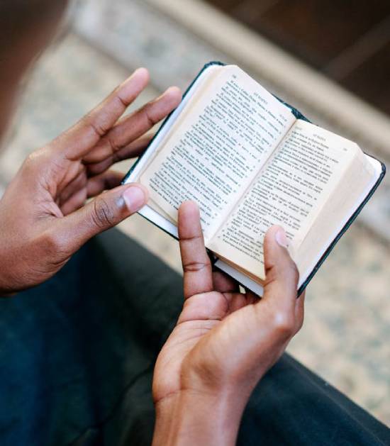 A high angle shot of a person searching the Scriptures.