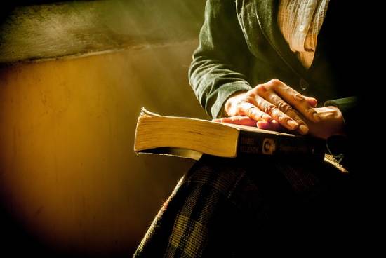 A woman holding the Bible in her hands ready to study how Bible figures dealt with harmful and toxic people.
