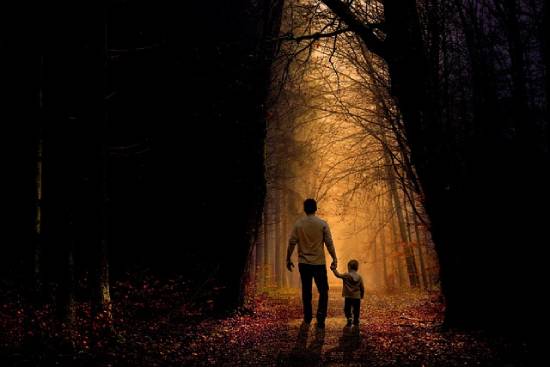 A father holding his son's hand as they walk in the woods at dusk.
