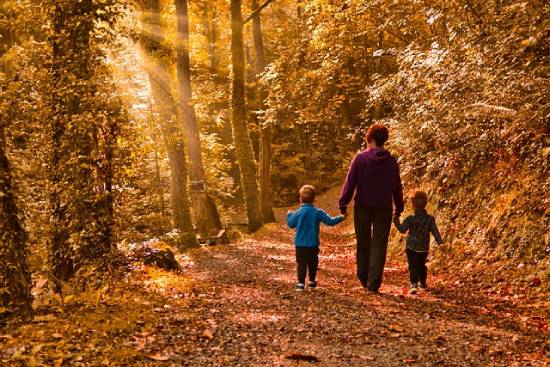 A parent having a nature walk with two kids in the forest holding each by hand.