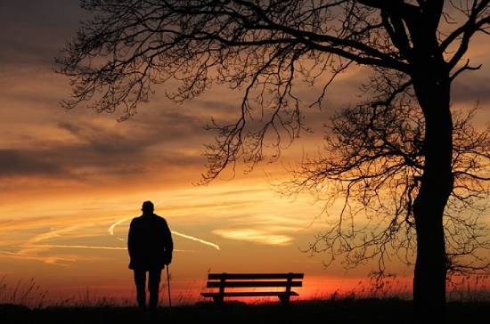 Silhouette of a man standing with walking stick beside a beside a bench under a tree at dusk.