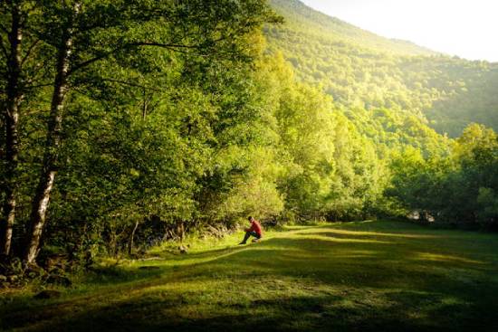 A man spending time in a field in the forest as part of his nature therapy.