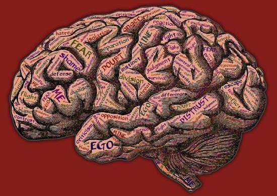 Different Mindsets Mind grappling various emotions and psychological battles.