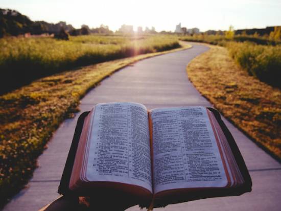 An open Bible lifted in the middle of a road giving instructions on trusting God with the future.